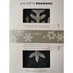 Gecko in the Box - X-Mas